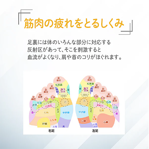 コリナイト 足つぼサポーター