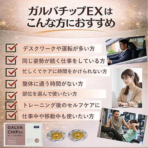 ガルバチップEX