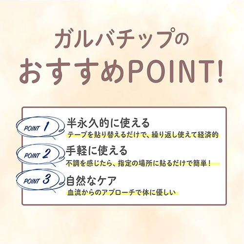 ガルバチップEX